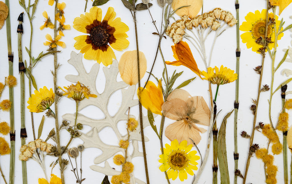 Botanical Series N° 1, geperste bloemen in kader, foto 2