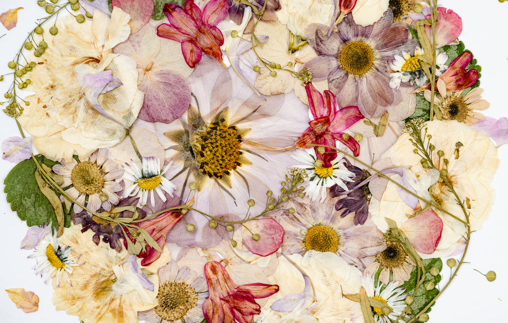 Botanical Series N° 2, geperste bloemen in kader, foto 2