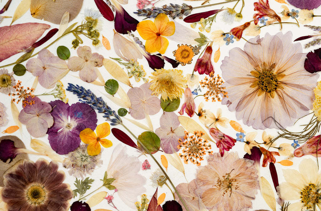 Botanical Series N° 4, geperste bloemen in kader, foto 2