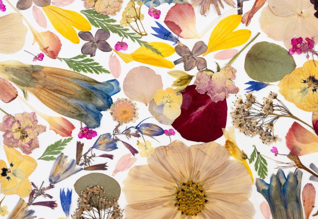 Botanical Series N° 10, geperste bloemen in kader, foto 2