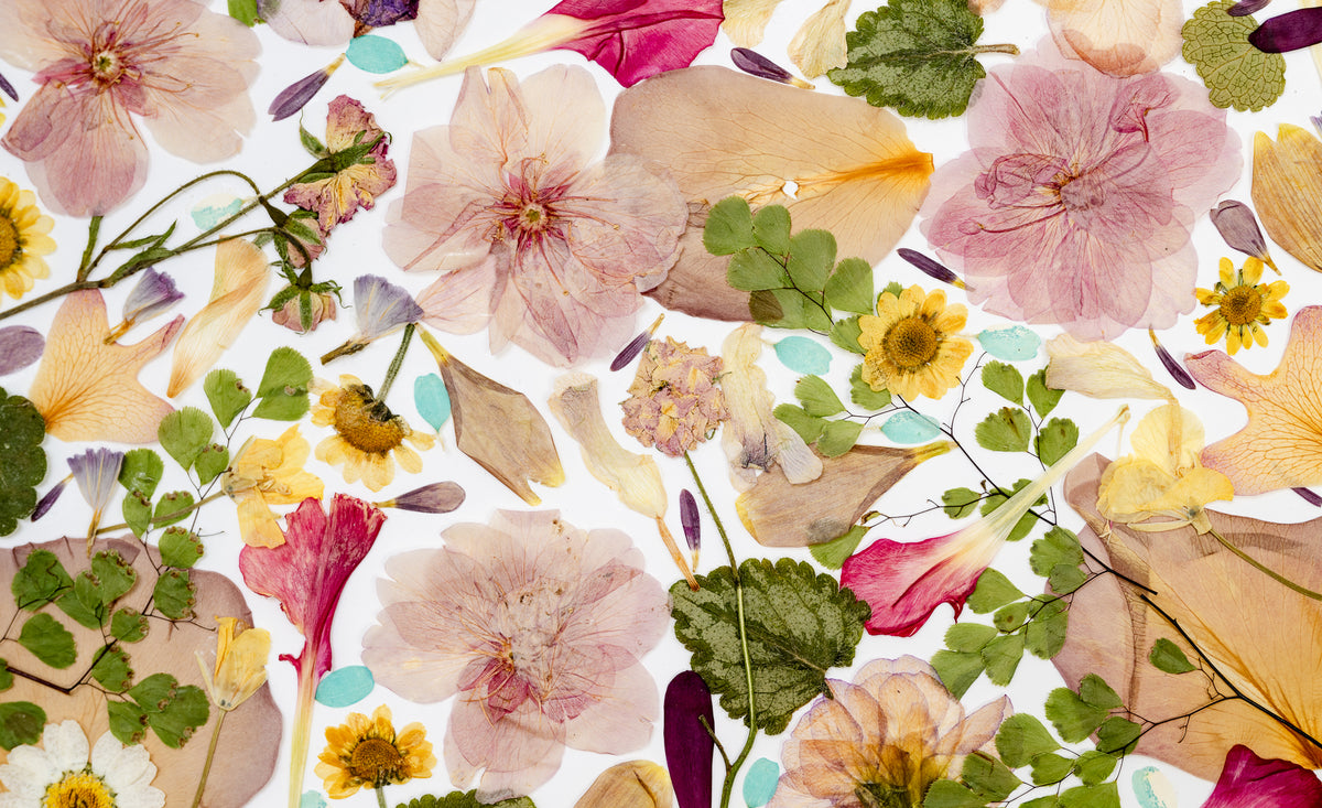 Botanical Series N° 11, geperste bloemen in kader, foto 2
