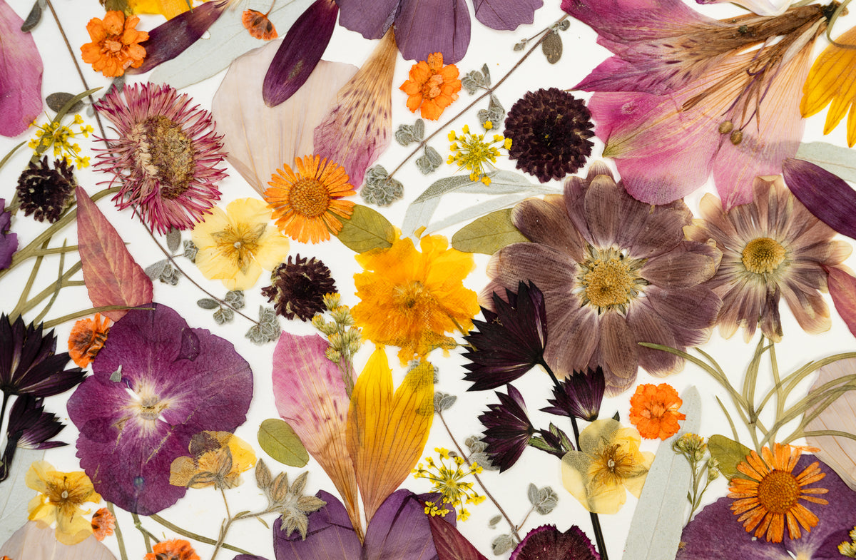 Botanical Series N° 12, geperste bloemen in kader, foto 2