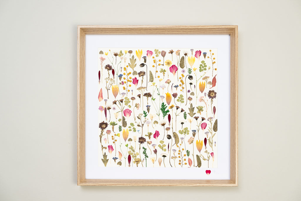 Botanical Series N° 13, geperste bloemen in kader, foto 1