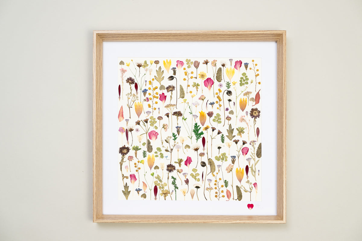 Botanical Series N° 13, geperste bloemen in kader, foto 1