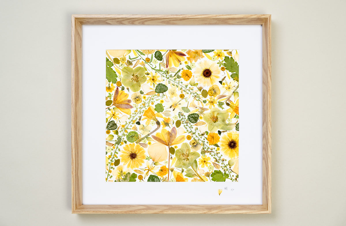Botanical Series N° 15, geperste bloemen in kader, foto 3