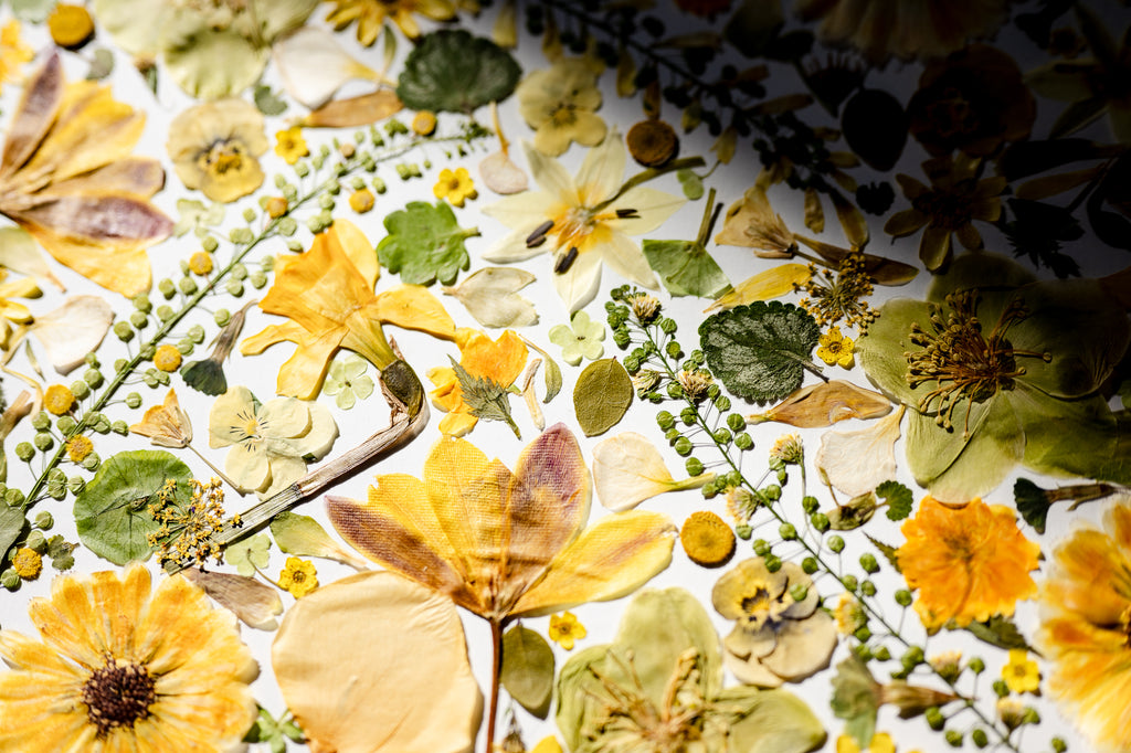 Botanical Series N° 15, geperste bloemen in kader, foto 6