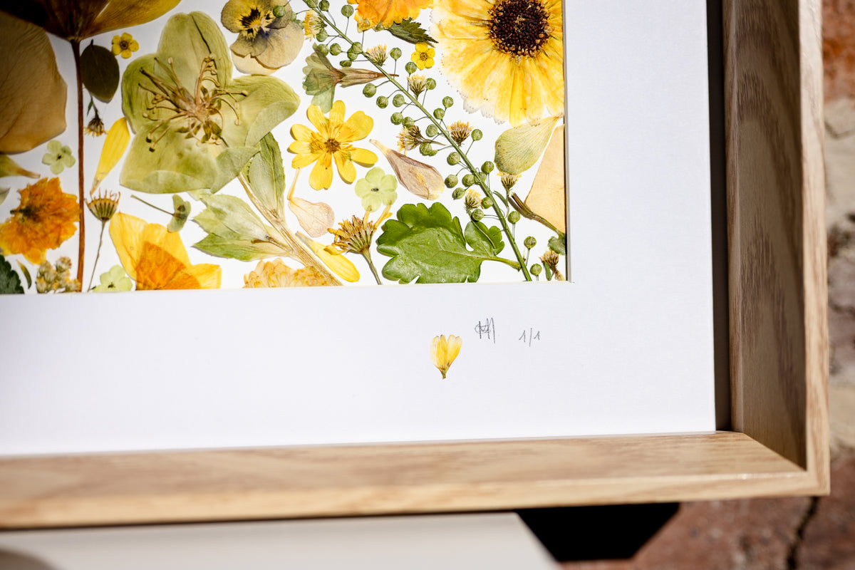 Botanical Series N° 15, geperste bloemen in kader, foto 9
