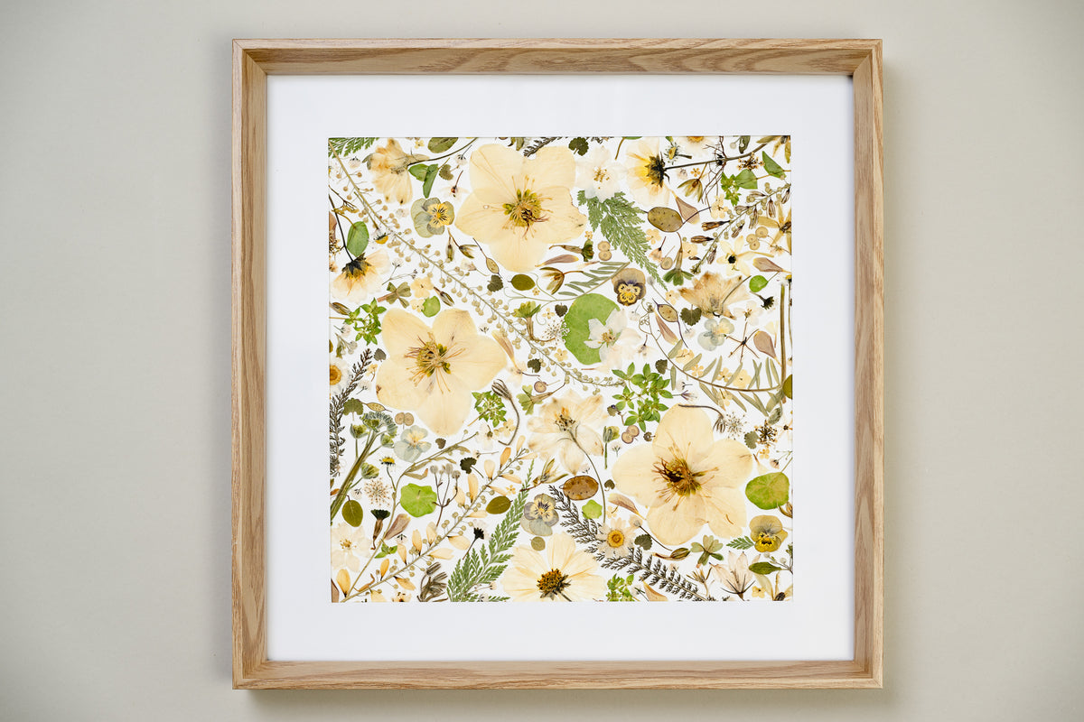 Botanical Series N° 16, geperste bloemen in kader, foto 1