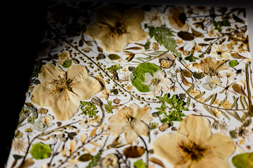 Botanical Series N° 16, geperste bloemen in kader, foto 3