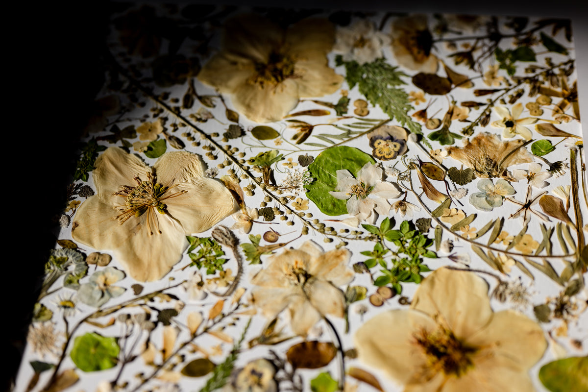 Botanical Series N° 16, geperste bloemen in kader, foto 3