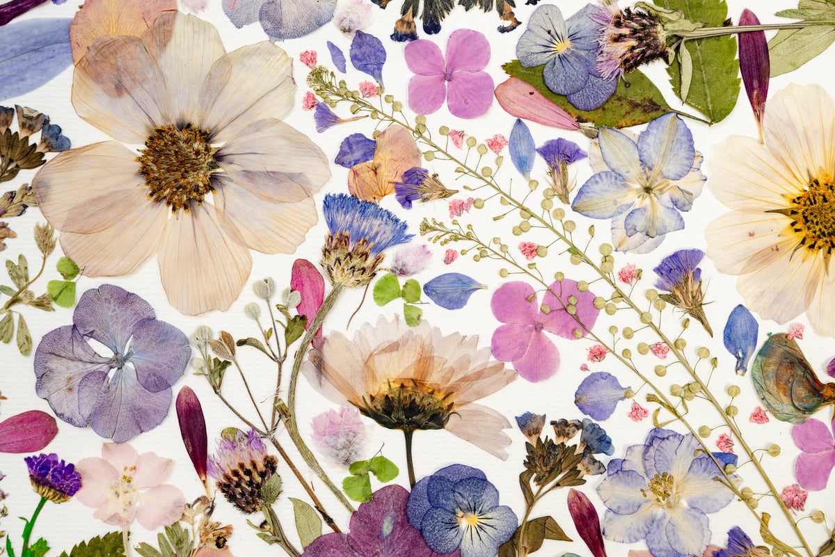 Botanical Series N° 17, geperste bloemen in kader, foto 2