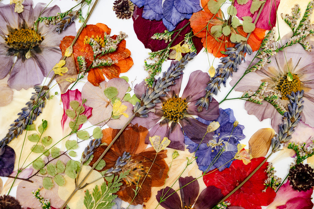 Botanical Series N° 20, geperste bloemen in kader, foto 2