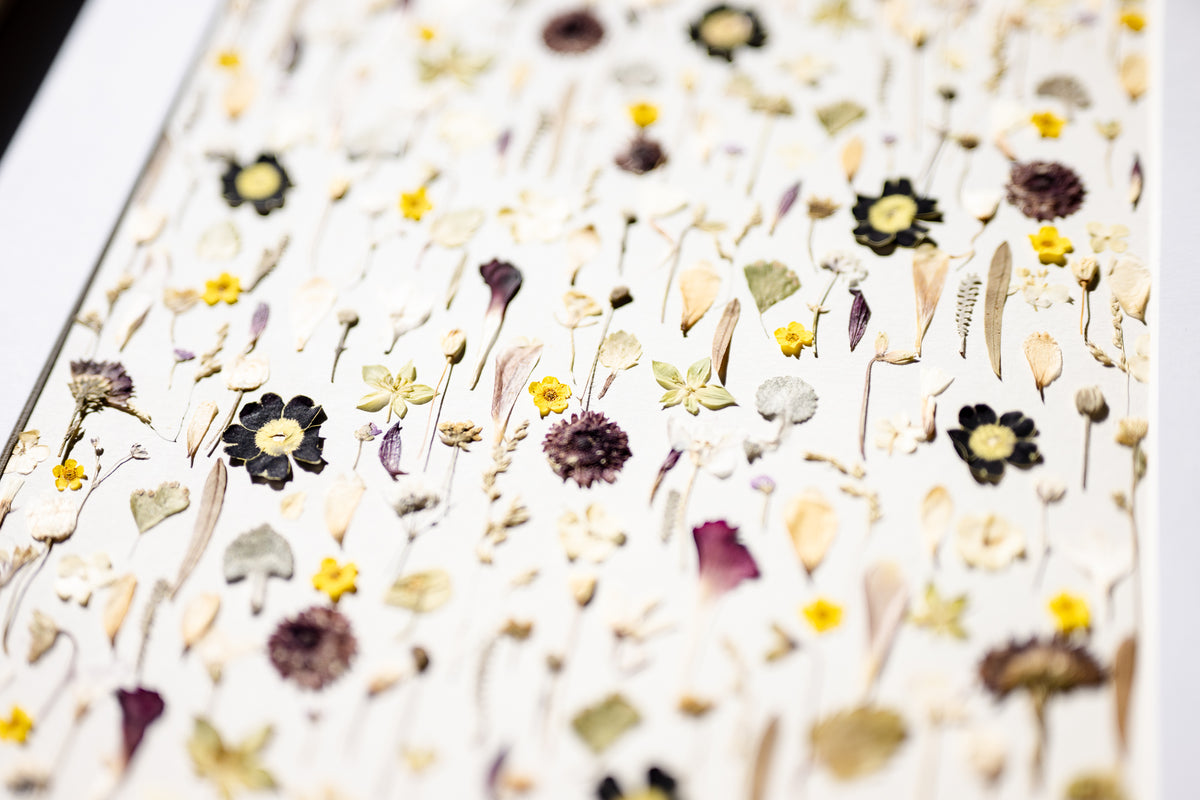 Botanical Series N° 21, geperste bloemen in kader, foto 4