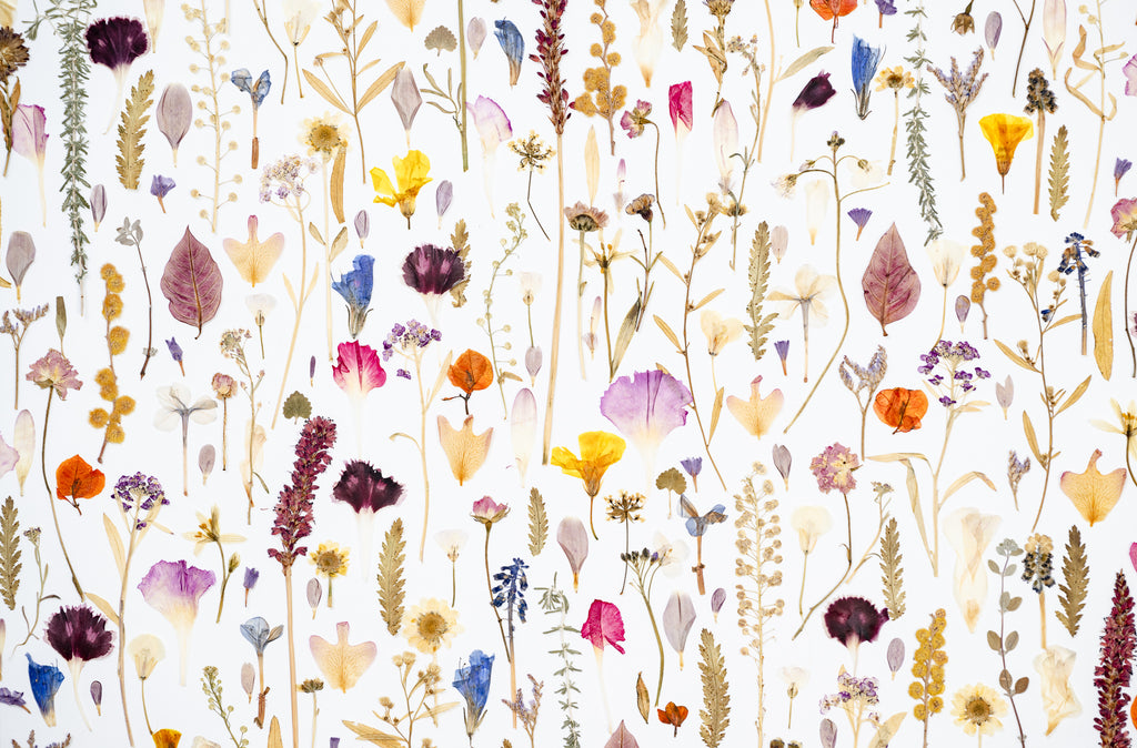 Botanical Series N° 22, geperste bloemen in kader, foto 2