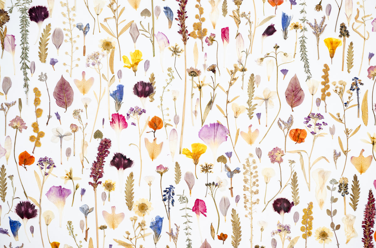 Botanical Series N° 22, geperste bloemen in kader, foto 2