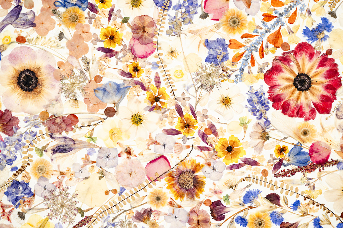 Botanical Series N° 23, geperste bloemen in kader, foto 2