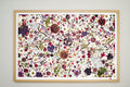 Botanical Series N° 25, geperste bloemen in kader, foto 1