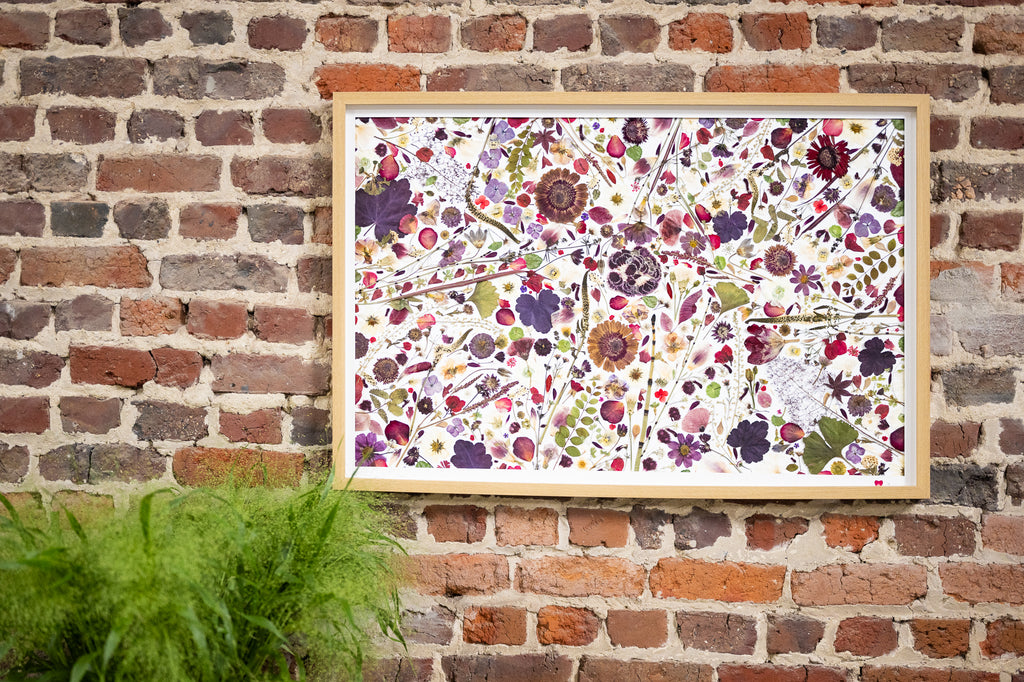 Botanical Series N° 25, geperste bloemen in kader, foto 4