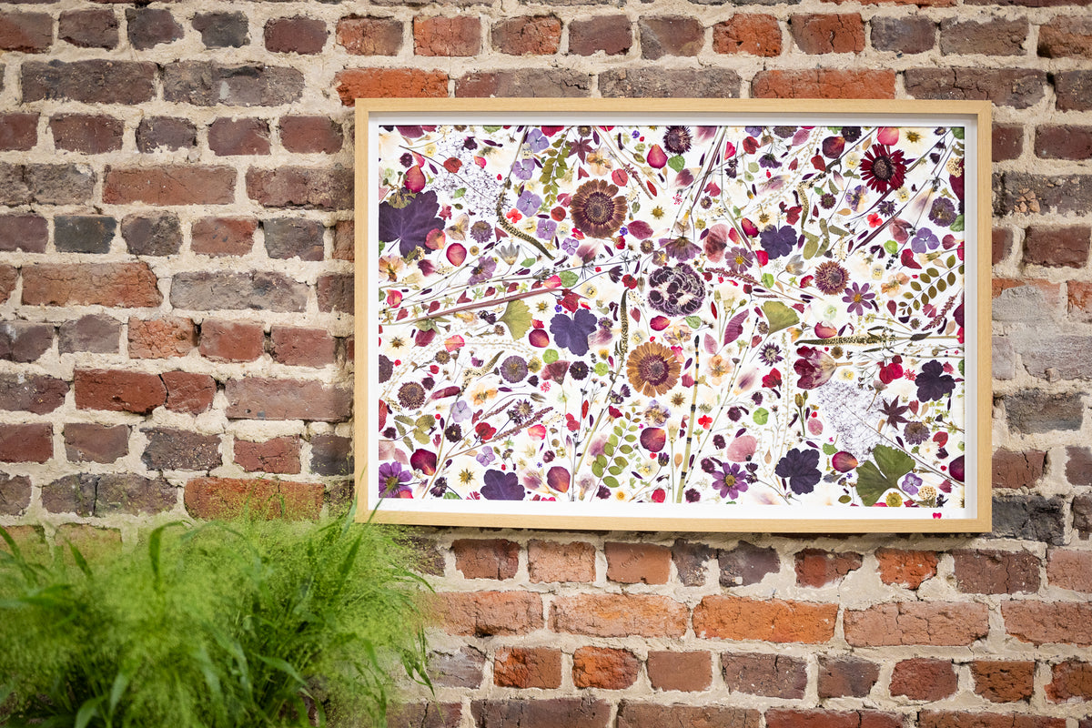 Botanical Series N° 25, geperste bloemen in kader, foto 4