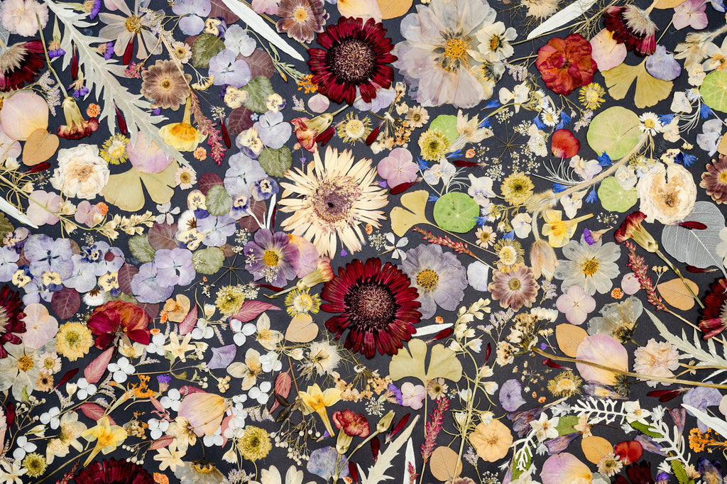 Botanical Series N° 27, geperste bloemen in kader, foto 2