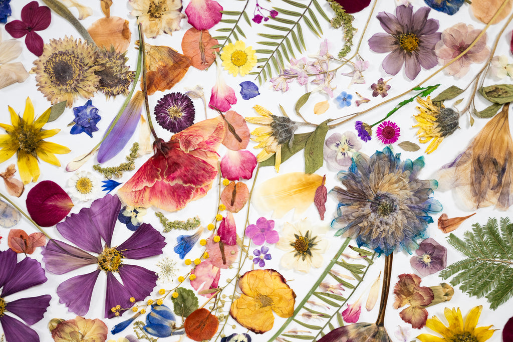 Botanical Series N° 31, geperste bloemen in kader, foto 5